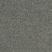 Stainfree Sophisticat Titanium