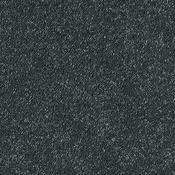 Stainfree Sophisticat Ebony