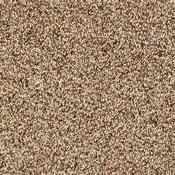 Wild Silk Cinnamon