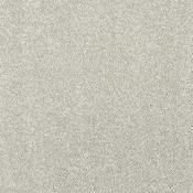Stainfree Caress Suede