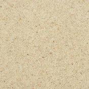 Charter Berber Deluxe Irish Cream