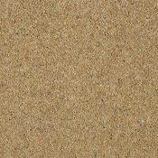 Charter Berber Deluxe Sandstone image