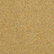 Charter Berber Deluxe Summer Sun image