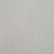 Stainfree Captivation Tundra Frost