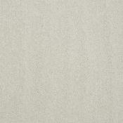Stainfree Pure Elegance Jewel