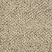 Stainfree Country Weave Biscotti