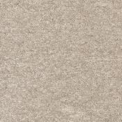 iSense Splendour Camel