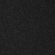 Alabama Anthracite