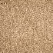 Stainfree Arena Plus Cool Beige