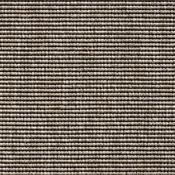 Java Jive