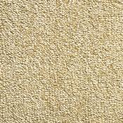 Jamaica Spiced Ocre