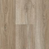 Novus Nola 582 image
