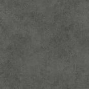 Novus Padua 599 image