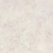 Amtico Spacia Ceramic Frost image