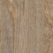 Amtico Spacia Bleached Elm image