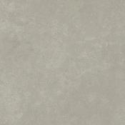Amtico Spacia Lichen