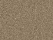 Sienna 220 Acorn