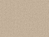 Sienna 260 Camel