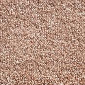 Phoenix 310 Coral Dust