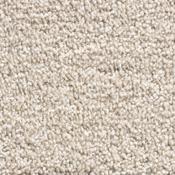Phoenix 170 Cashmere