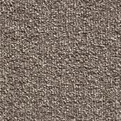 Birma Sable