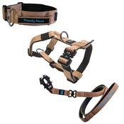 Complete Set: Harness, Collar &amp; Clip Lead - Beige image