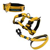 Complete Set: Harness, Collar &amp; Clip Lead
