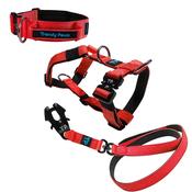 Complete Set: Harness, Collar &amp; Clip Lead