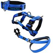 Complete Set: Harness, Collar &amp; Clip Lead