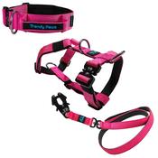 Complete Set: Harness, Collar &amp; Clip Lead
