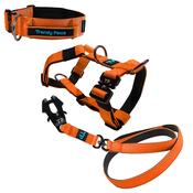 Complete Set: Harness, Collar &amp; Clip Lead