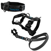 Complete Set: Harness, Collar &amp; Clip Lead