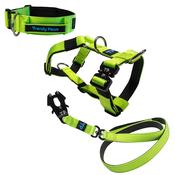 Complete Set: Harness, Collar &amp; Clip Lead
