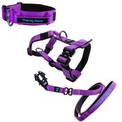Complete Set: Harness, Collar &amp; Clip Lead - Purple image