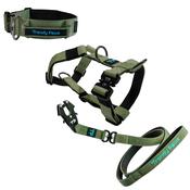 Complete Set: Harness, Collar &amp; Clip Lead - Military Green image
