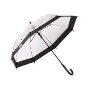 Rainfall Clear Umbrella image