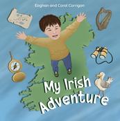 My Irish Adventure