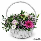 Delicate Pinks image