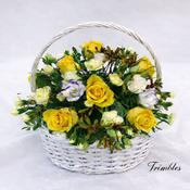 Basket of Sunshine image