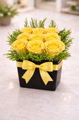 Yellow Ecuadorian Rose Cube image