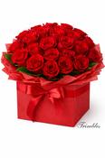 24 Ecuadorian Red Roses in a Luxury Red Box image