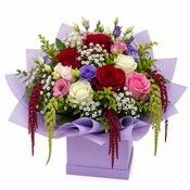 Amaranthus Elegance (Bank Holiday special) image