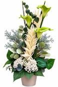 Trimble’s Exclusive Green Calla Lily Silk Arrangement image