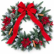 Frosted Evergreen &amp; Red Poinsettia Christmas Wreath image