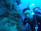 PADI Open Water E-learning