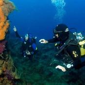 PADI Advanced Open Water Diver Course