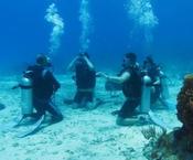PADI Divemaster Course (Materials not included)