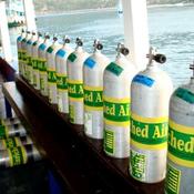 Enriched Air (Nitrox) including dives