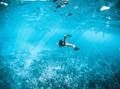 Discover Snorkeling