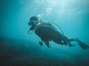Discover Scuba Diving